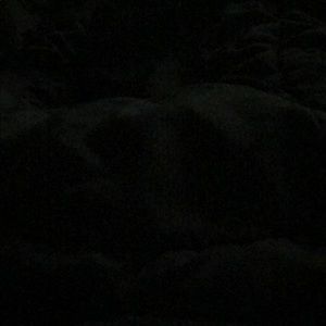 Meet your Posher, Rosalie